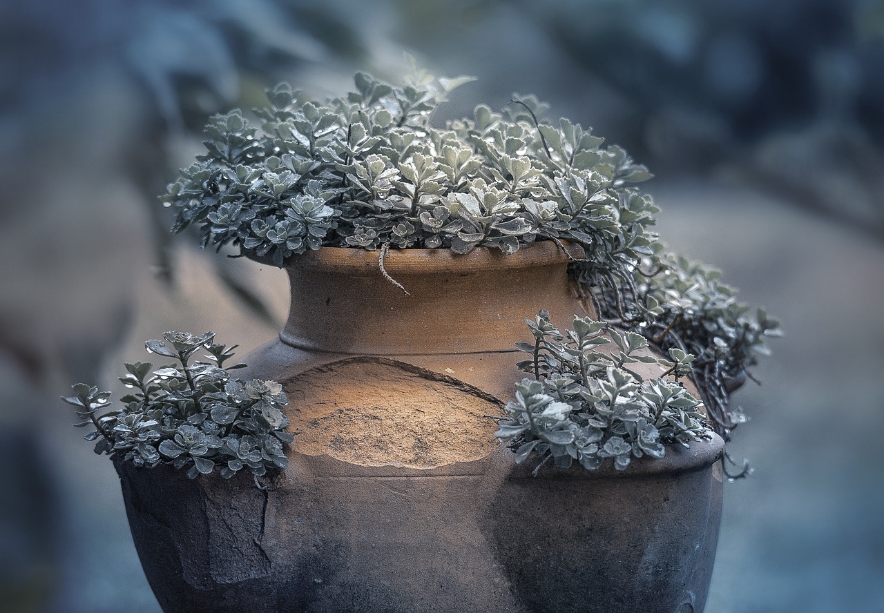 Homemade Plant Pots from Recycled Materials